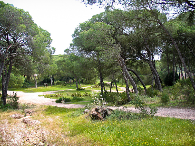 La Laguna del Portil puede visitarse a través de un sendero, también apto para BTT.