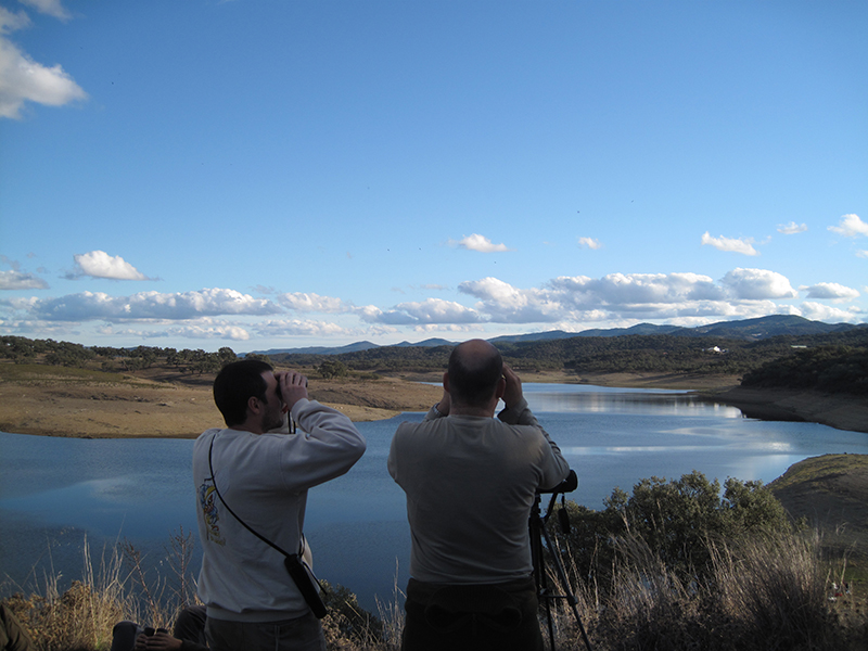 Cualquier lugar de la Sierra es un sitio ideal para el avistamiento de aves.
